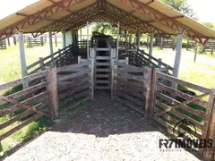 Fazenda / Sítio / Chácara com 7 Quartos à venda, 320m² no Zona Rural, Bela Vista de Goiás - Foto 14