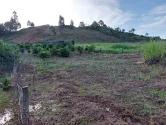 Fazenda / Sítio / Chácara com 3 Quartos à venda, 196m² no Area Rural de Pato Branco, Pato Branco - Foto 22