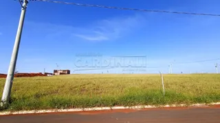 Terreno / Lote / Condomínio à venda, 250m² no , São Carlos - Foto 5