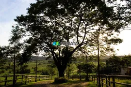 Fazenda / Sítio / Chácara com 5 Quartos à venda, 11m² no Zona Rural, Inhaúma - Foto 16