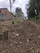 Terreno / Lote / Condomínio à venda, 3000m² no Recanto Verde dos Lagos, Itapevi - Foto 3