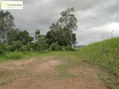 Fazenda / Sítio / Chácara com 12 Quartos à venda, 450m² no Santa Cândida, Vinhedo - Foto 4