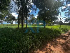 Fazenda / Sítio / Chácara com 3 Quartos à venda, 300m² no Zona Rural, São Sebastião do Oeste - Foto 4