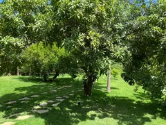 Casa com 3 Quartos à venda, 220m² no Parque das Nações, Aparecida de Goiânia - Foto 6