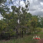 Fazenda / Sítio / Chácara com 1 Quarto à venda, 30000m² no Coxipó do Ouro, Cuiabá - Foto 3