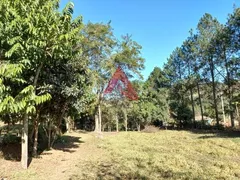 Fazenda / Sítio / Chácara com 2 Quartos à venda, 120m² no Centro, São Luiz do Paraitinga - Foto 7
