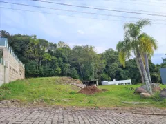 Terreno / Lote / Condomínio à venda no Linha 40, Caxias do Sul - Foto 1