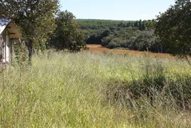 Fazenda / Sítio / Chácara com 1 Quarto à venda, 48400m² no Centro, Curvelo - Foto 5