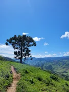 Fazenda / Sítio / Chácara à venda, 290000m² no Centro, Piranguçu - Foto 16