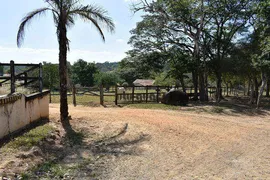 Fazenda / Sítio / Chácara com 5 Quartos à venda, 1258400m² no , Porto Feliz - Foto 21