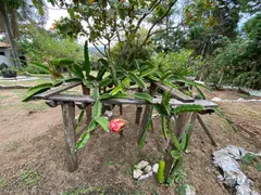 Fazenda / Sítio / Chácara com 1 Quarto à venda, 1000m² no Pirapitingu, Itu - Foto 20