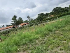 Fazenda / Sítio / Chácara com 2 Quartos à venda, 82m² no Bom Retiro, Porto Feliz - Foto 24
