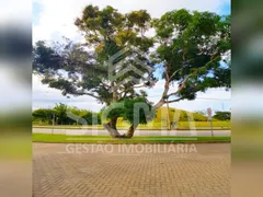 Terreno / Lote / Condomínio à venda, 200m² no Cabiunas, Macaé - Foto 23