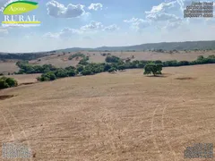 Fazenda / Sítio / Chácara com 5 Quartos à venda, 14907200m² no Zona Rural, Santa Cruz de Goiás - Foto 24