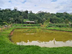 Fazenda / Sítio / Chácara com 2 Quartos à venda, 20000m² no Centro, Piracaia - Foto 31