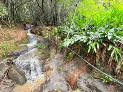 Fazenda / Sítio / Chácara com 2 Quartos à venda, 4700m² no Centro, Socorro - Foto 6