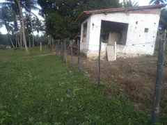 Fazenda / Sítio / Chácara com 1 Quarto à venda, 21m² no Centro, Conde - Foto 7