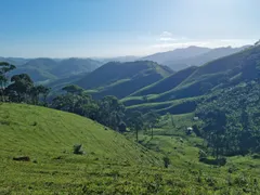 Fazenda / Sítio / Chácara com 3 Quartos à venda, 484000m² no São Francisco Xavier, São José dos Campos - Foto 29