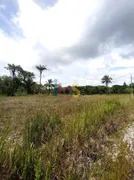 Terreno / Lote / Condomínio à venda, 250m² no Iguape, Ilhéus - Foto 1