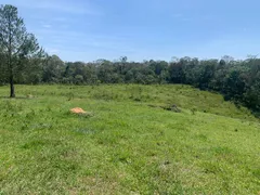 Terreno / Lote / Condomínio à venda no Centro, São Roque - Foto 17