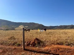 Fazenda / Sítio / Chácara à venda, 100m² no Centro, Araguari - Foto 19