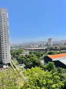 Apartamento com 3 Quartos para venda ou aluguel, 79m² no Vila Anastácio, São Paulo - Foto 35