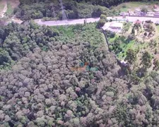 Terreno / Lote / Condomínio à venda, 29300m² no Lamenha Grande, Almirante Tamandaré - Foto 16