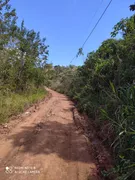 Terreno / Lote / Condomínio com 1 Quarto à venda, 5000m² no Jardim das Mangabeiras, Mateus Leme - Foto 5