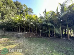 Fazenda / Sítio / Chácara com 3 Quartos à venda, 96m² no Encano do Norte, Indaial - Foto 9