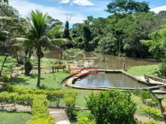 Fazenda / Sítio / Chácara com 4 Quartos à venda, 242000m² no Zona Rural, Bonfinópolis - Foto 3