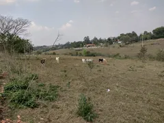 Fazenda / Sítio / Chácara à venda, 28000m² no Zona Rural, Porangaba - Foto 7