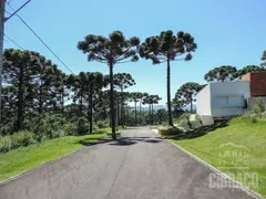 Terreno / Lote / Condomínio à venda, 1133m² no Vila Fuck, Piraquara - Foto 5