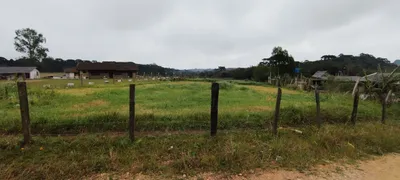 Fazenda / Sítio / Chácara à venda, 6500m² no Cachoeira, São José dos Pinhais - Foto 27