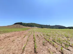 Fazenda / Sítio / Chácara à venda, 22500m² no , Gramado - Foto 1