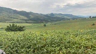 Fazenda / Sítio / Chácara com 4 Quartos à venda, 5000m² no Zona Rural, Serra Negra - Foto 22