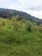 Terreno / Lote / Condomínio à venda, 49000m² no Zona Rural, Camanducaia - Foto 2