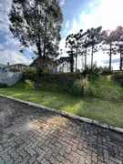Terreno / Lote / Condomínio à venda, 600m² no Vale das Colinas, Gramado - Foto 4