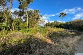 Terreno / Lote / Condomínio à venda, 699m² no Centro, Monte Belo do Sul - Foto 6