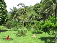 Fazenda / Sítio / Chácara com 3 Quartos à venda, 116000m² no Agro Brasil, Cachoeiras de Macacu - Foto 46