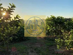 Fazenda / Sítio / Chácara com 3 Quartos à venda, 26455m² no Reforma Agraria, Valinhos - Foto 16