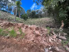 Terreno / Lote / Condomínio à venda, 13000m² no Vale dos Vinhedos, Bento Gonçalves - Foto 7