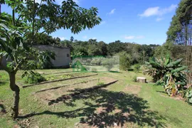 Fazenda / Sítio / Chácara com 2 Quartos à venda, 250m² no Zona Rural, Ibiúna - Foto 20