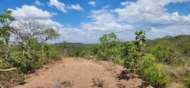 Fazenda / Sítio / Chácara à venda, 20000m² no Zona Rural, Baldim - Foto 10