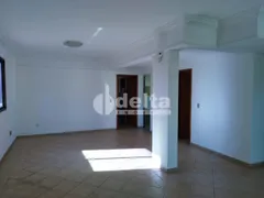 Apartamento com 3 Quartos à venda, 120m² no Lidice, Uberlândia - Foto 3