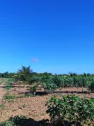 Fazenda / Sítio / Chácara com 2 Quartos à venda, 50m² no Zona Rural, Touros - Foto 21