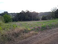 Terreno / Lote / Condomínio à venda, 20000m² no , Cruzeiro do Sul - Foto 3