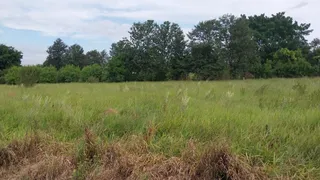 Fazenda / Sítio / Chácara à venda, 1000m² no Saltinho, Elias Fausto - Foto 5