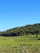 Fazenda / Sítio / Chácara à venda no , Itapecuru Mirim - Foto 12