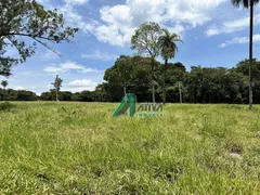 Fazenda / Sítio / Chácara com 4 Quartos para venda ou aluguel, 500m² no , Esmeraldas - Foto 64