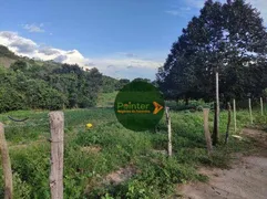 Fazenda / Sítio / Chácara com 2 Quartos à venda, 484000m² no Zona Rural, Heitoraí - Foto 9